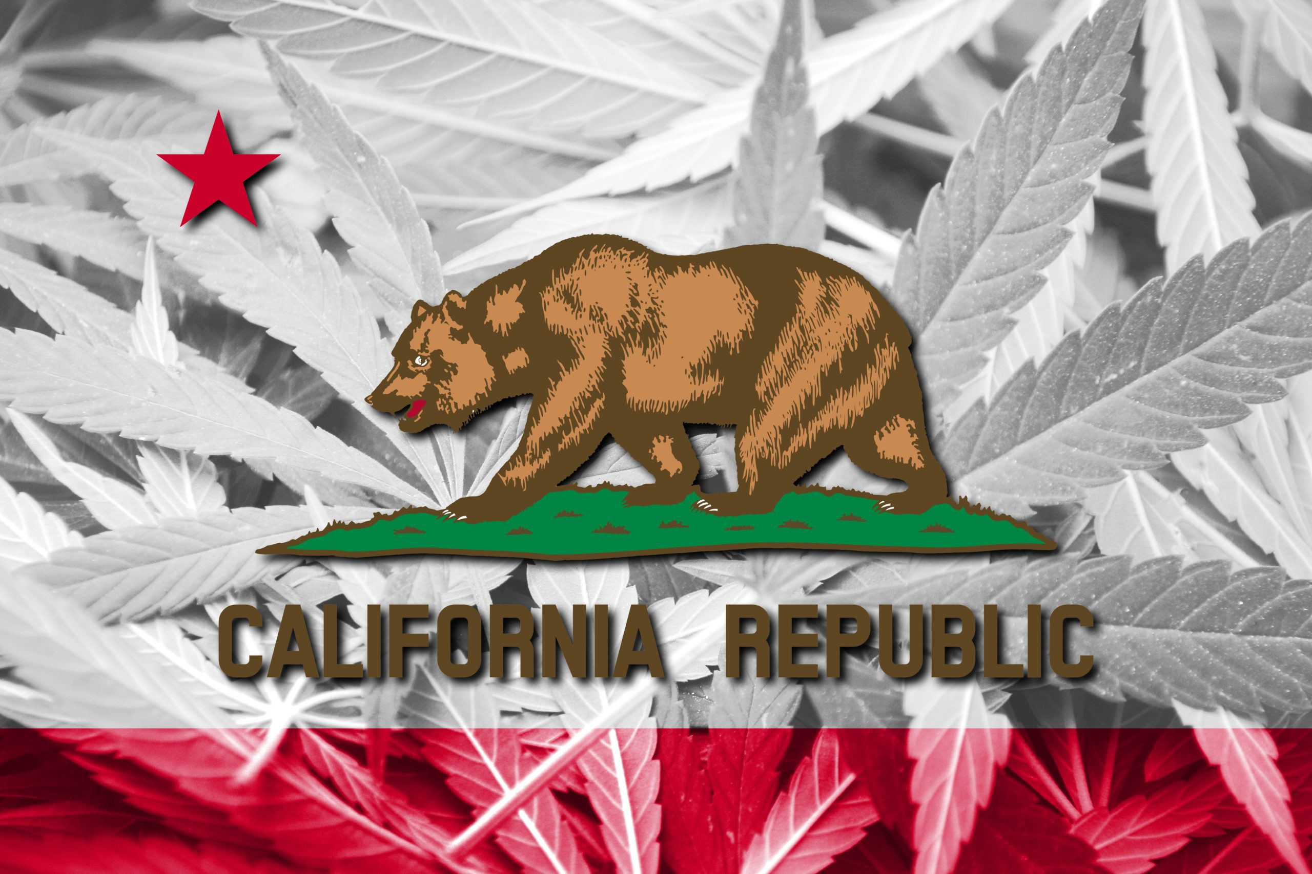 California State flag with cannabis background