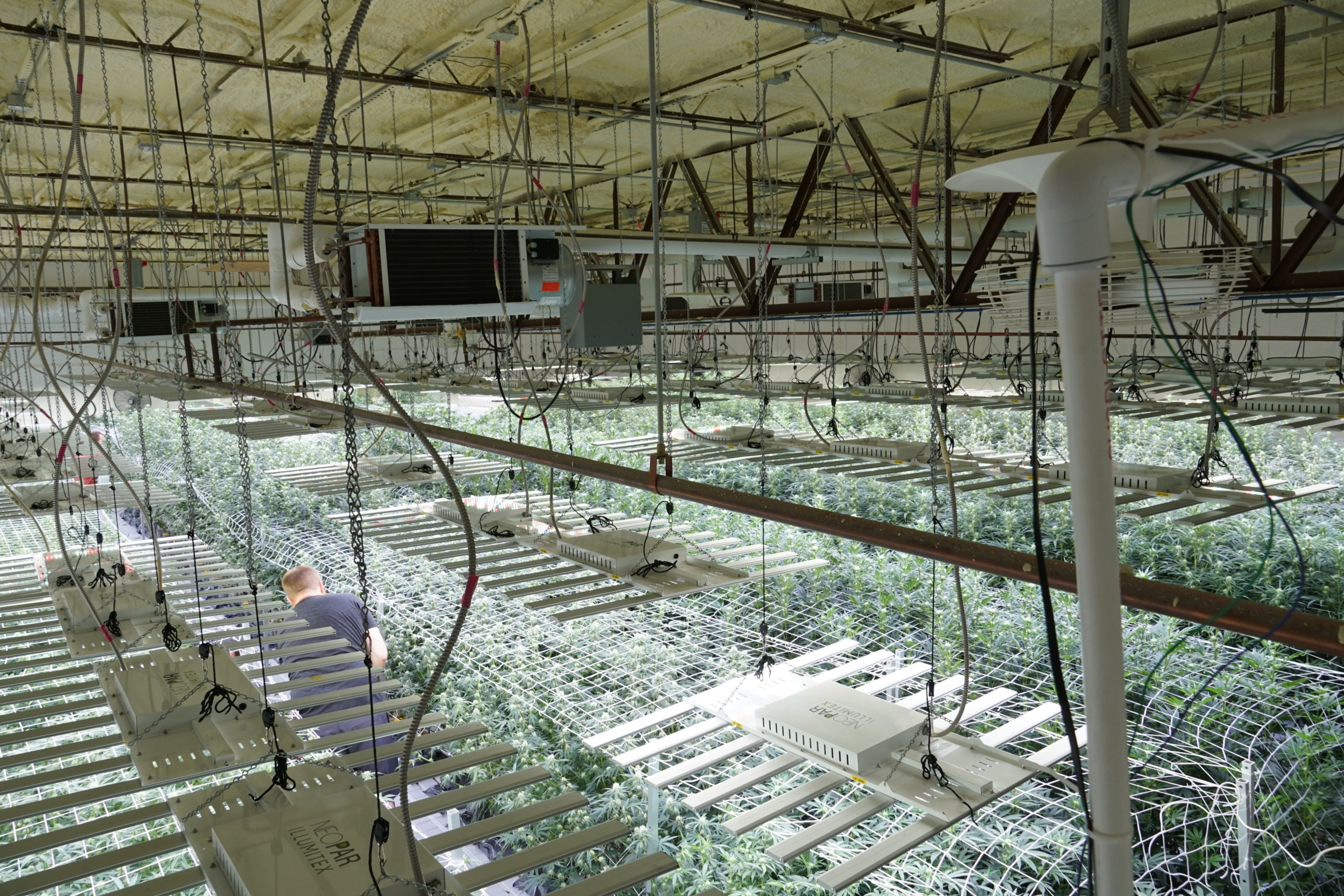 Albuquerque Cultivation Facility