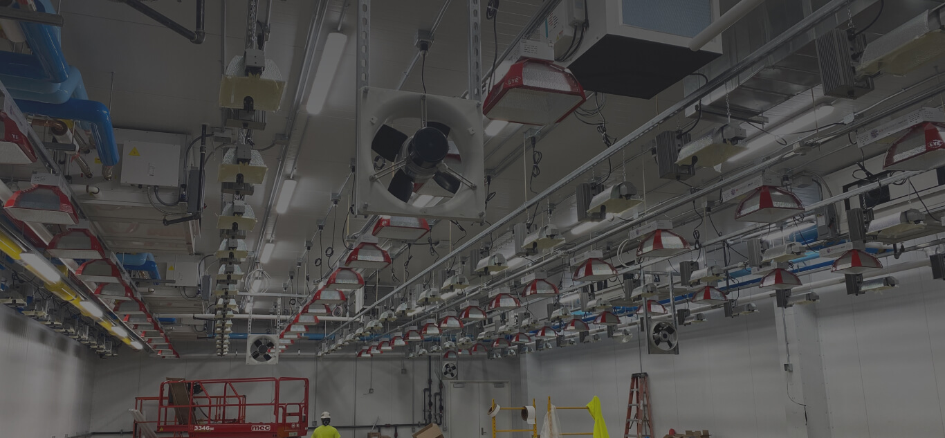 Controlled Climate Systems For CEA Surna Cultivation Technologies