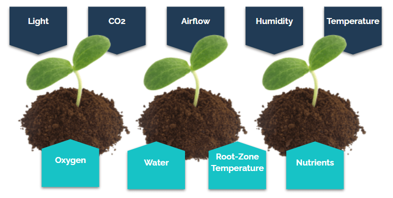9 parameters for plant growth
