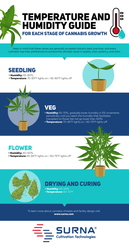 Ideal Grow Room Temperature and Humidity for Cannabis | Surna ...