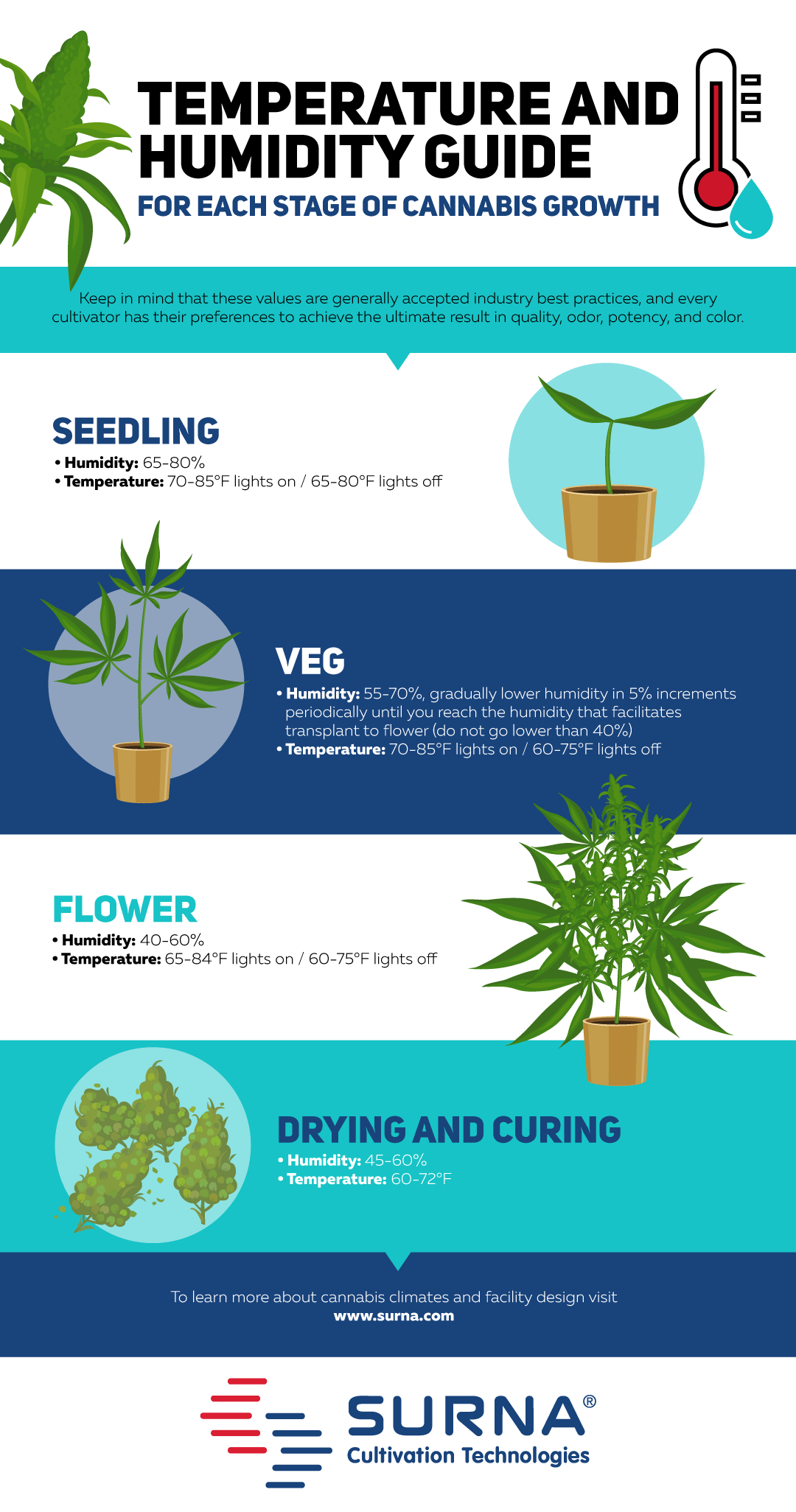 temperature and humidity guide for each stage of cannabis growth infographic resource for growers