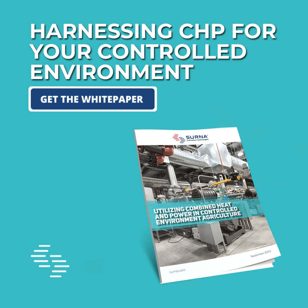 download out CHP whitepaper
