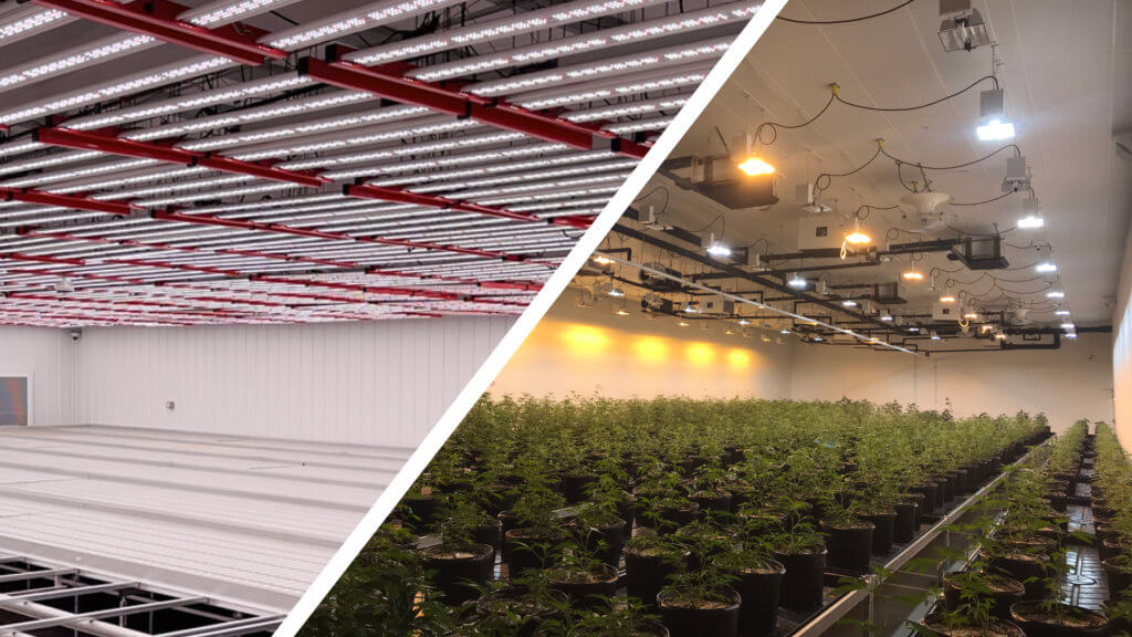 What Type Of Grow Light Is Best
