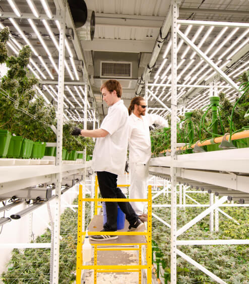 indoor cultivation specialists