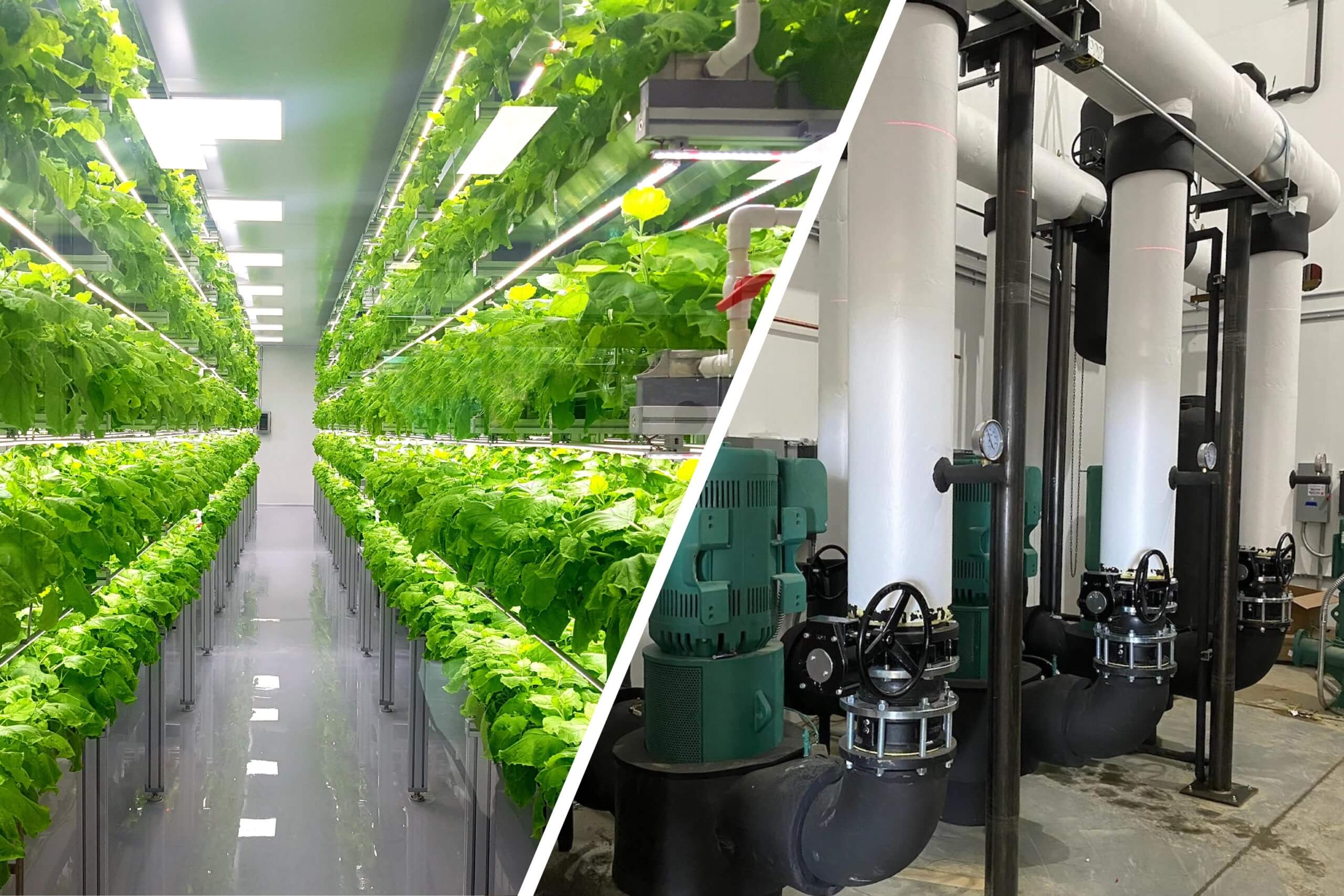 what is mep engineering in indoor agriculture