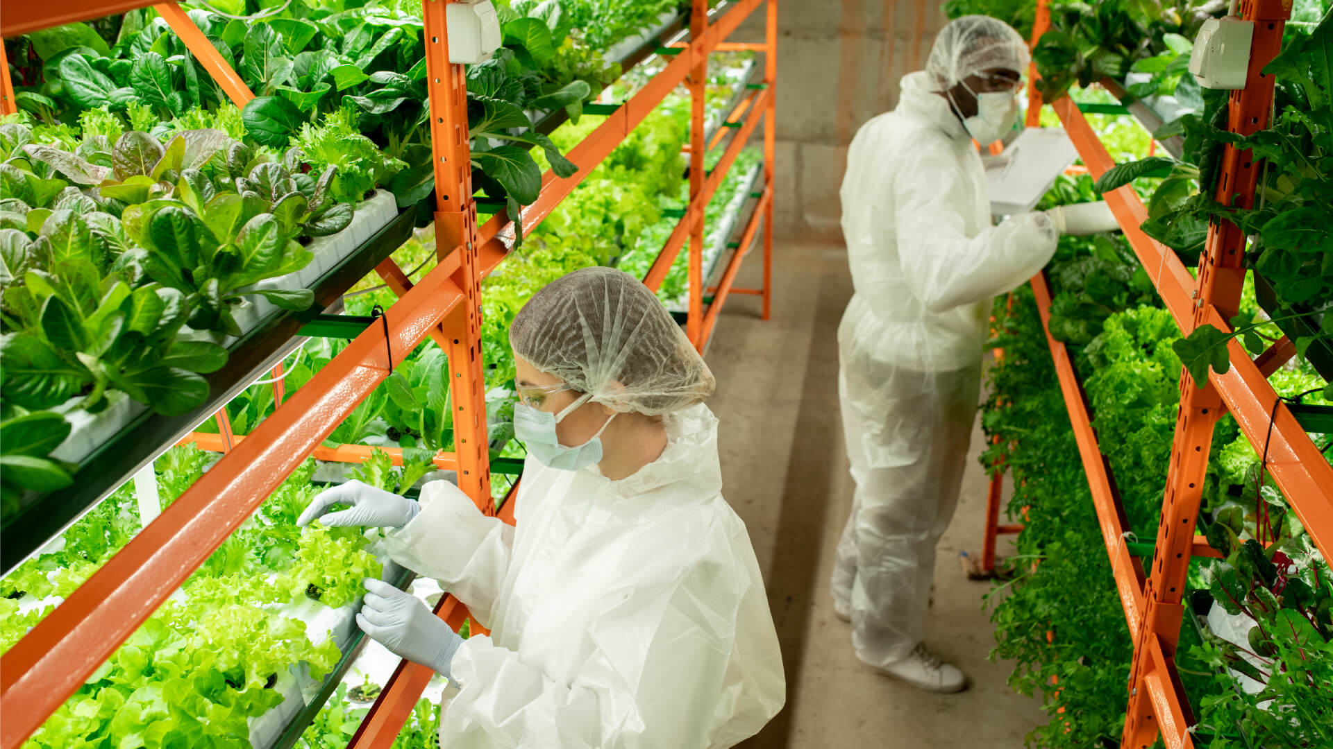 vertical farming