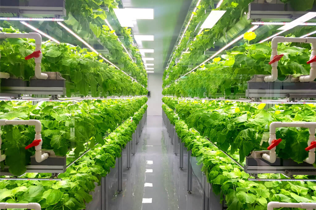 vertical indoor farm